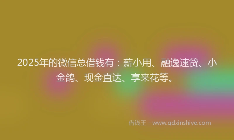 2025年的微信总借钱有：薪小用、融逸速贷、小金鸽、现金直达、享来花等。