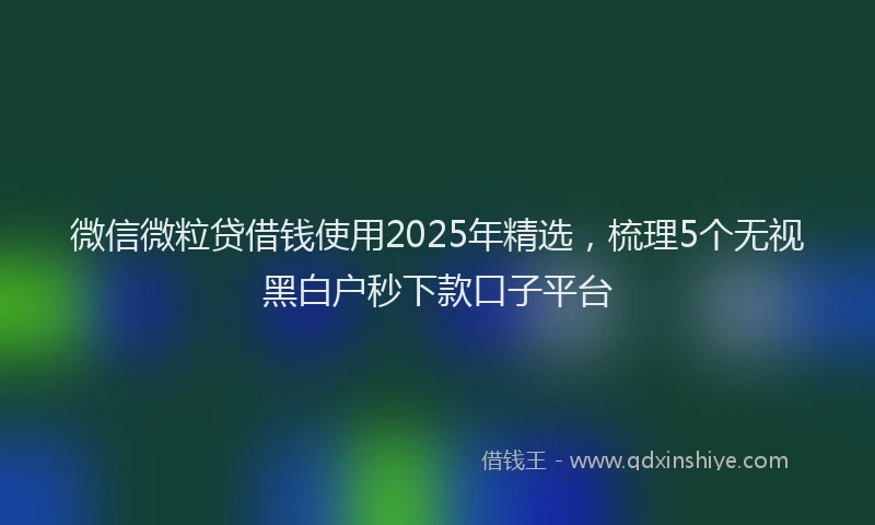 微信微粒贷借钱使用2025年精选，梳理5个无视黑白户秒下款口子平台