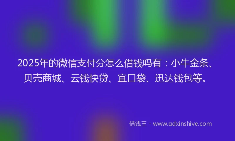 2025年的微信支付分怎么借钱吗有：小牛金条、贝壳商城、云钱快贷、宜口袋、迅达钱包等。