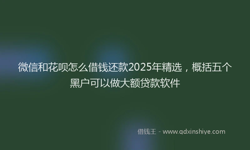 微信和花呗怎么借钱还款2025年精选，概括五个黑户可以做大额贷款软件