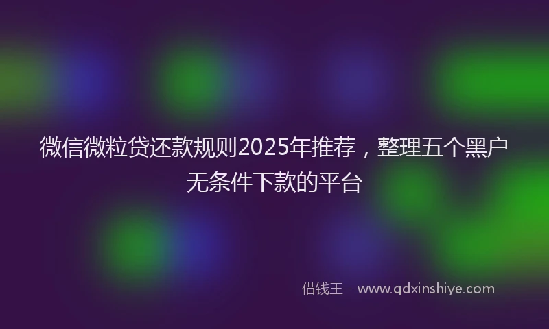 微信微粒贷还款规则2025年推荐，整理五个黑户无条件下款的平台