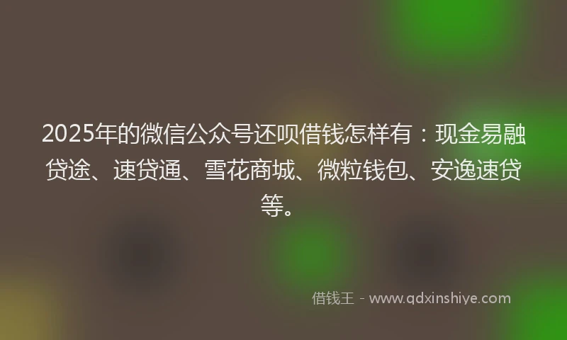 2025年的微信公众号还呗借钱怎样有：现金易融贷途、速贷通、雪花商城、微粒钱包、安逸速贷等。