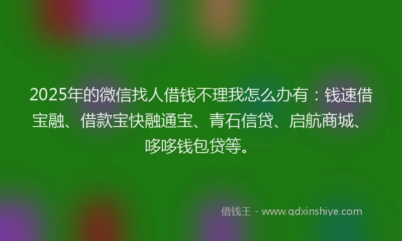 2025年的微信找人借钱不理我怎么办有：钱速借宝融、借款宝快融通宝、青石信贷、启航商城、哆哆钱包贷等。