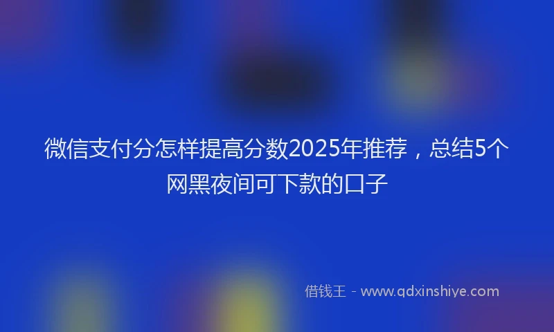 微信支付分怎样提高分数2025年推荐，总结5个网黑夜间可下款的口子