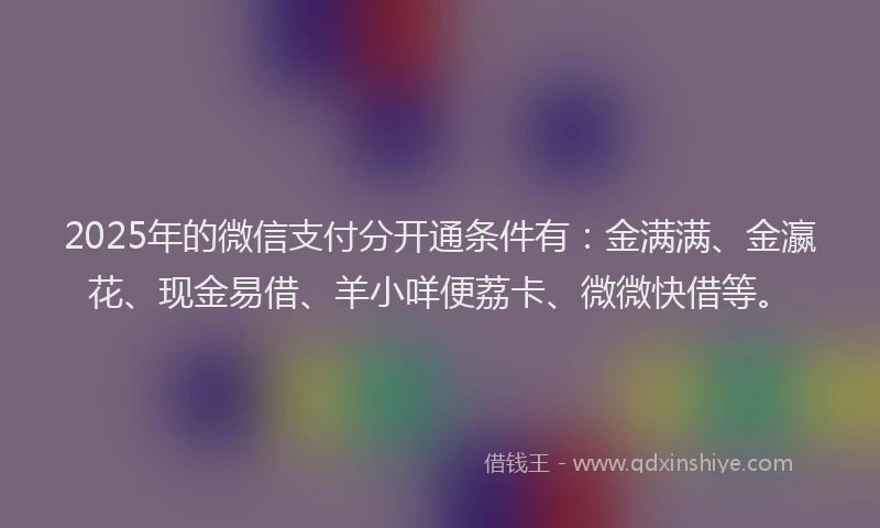 2025年的微信支付分开通条件有：金满满、金瀛花、现金易借、羊小咩便荔卡、微微快借等。