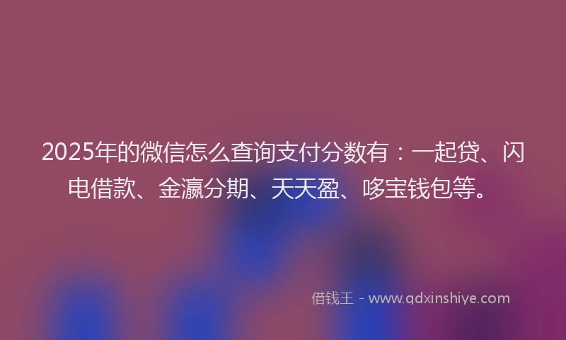 2025年的微信怎么查询支付分数有：一起贷、闪电借款、金瀛分期、天天盈、哆宝钱包等。