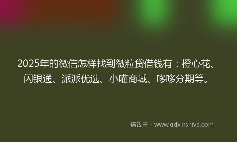 2025年的微信怎样找到微粒贷借钱有：橙心花、闪银通、派派优选、小喵商城、哆哆分期等。
