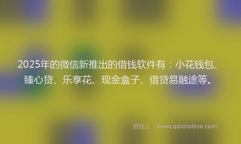 2025年的微信新推出的借钱软件有：小花钱包、臻心贷、乐享花、现金盒子、借贷易融途等。