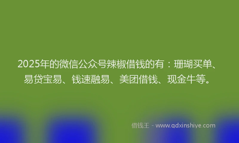 2025年的微信公众号辣椒借钱的有：珊瑚买单、易贷宝易、钱速融易、美团借钱、现金牛等。