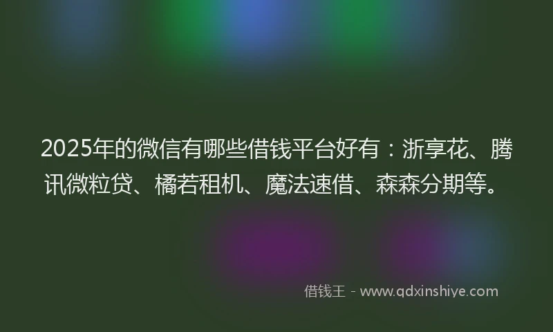 2025年的微信有哪些借钱平台好有：浙享花、腾讯微粒贷、橘若租机、魔法速借、森森分期等。