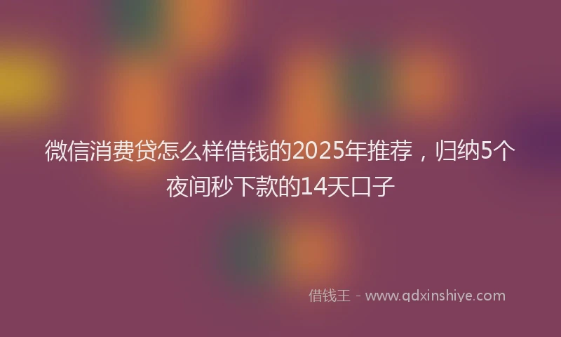 微信消费贷怎么样借钱的2025年推荐，归纳5个夜间秒下款的14天口子