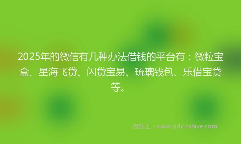 2025年的微信有几种办法借钱的平台有：微粒宝盒、星海飞贷、闪贷宝易、琉璃钱包、乐借宝贷等。