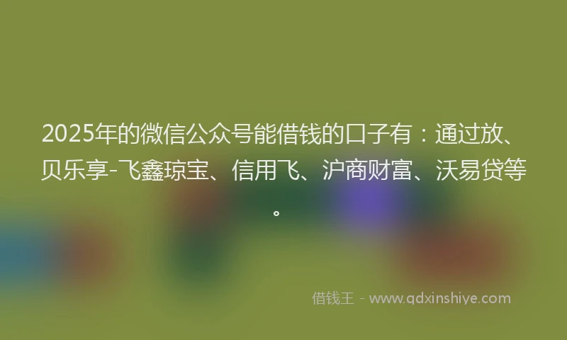 2025年的微信公众号能借钱的口子有：通过放、贝乐享-飞鑫琼宝、信用飞、沪商财富、沃易贷等。