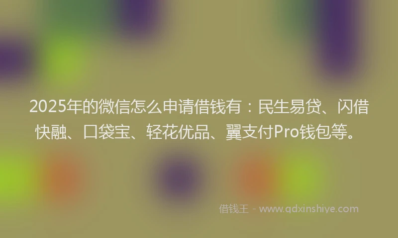 2025年的微信怎么申请借钱有：民生易贷、闪借快融、口袋宝、轻花优品、翼支付Pro钱包等。