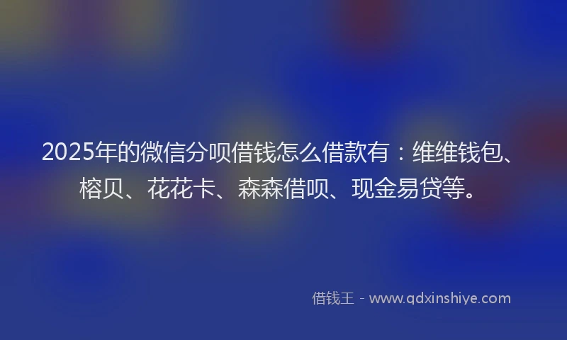 2025年的微信分呗借钱怎么借款有：维维钱包、榕贝、花花卡、森森借呗、现金易贷等。