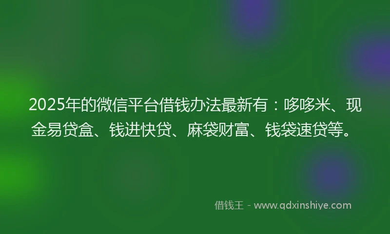 2025年的微信平台借钱办法最新有：哆哆米、现金易贷盒、钱进快贷、麻袋财富、钱袋速贷等。