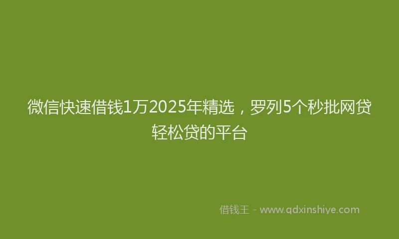 微信快速借钱1万2025年精选，罗列5个秒批网贷轻松贷的平台