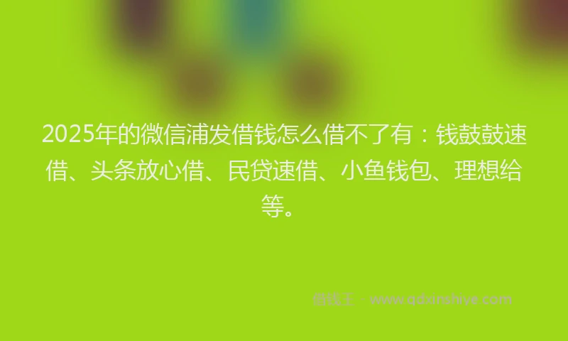 2025年的微信浦发借钱怎么借不了有：钱鼓鼓速借、头条放心借、民贷速借、小鱼钱包、理想给等。
