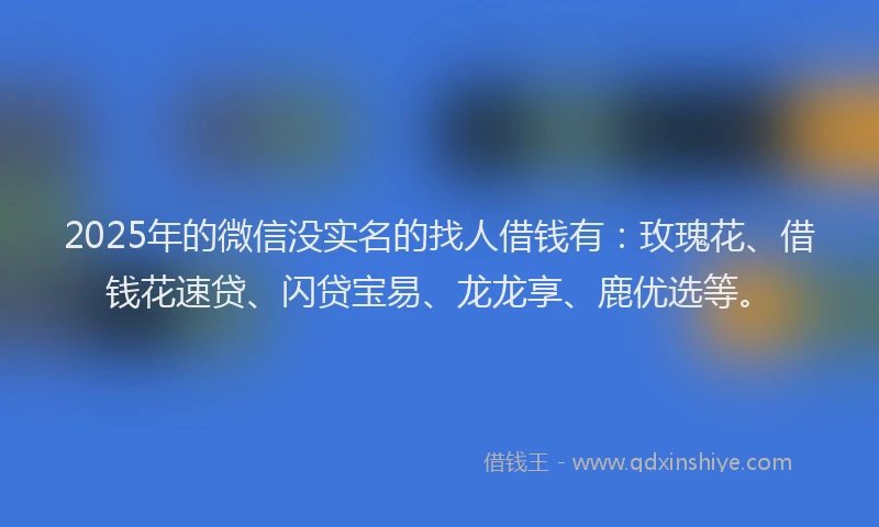 2025年的微信没实名的找人借钱有：玫瑰花、借钱花速贷、闪贷宝易、龙龙享、鹿优选等。