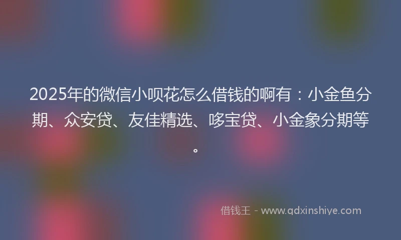 2025年的微信小呗花怎么借钱的啊有：小金鱼分期、众安贷、友佳精选、哆宝贷、小金象分期等。