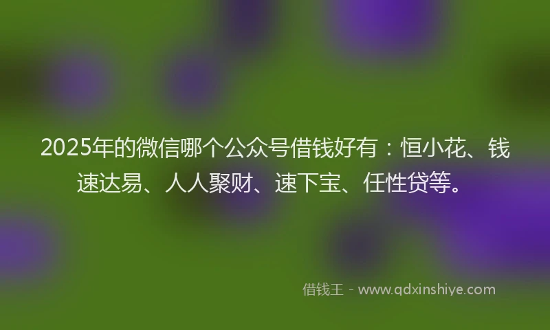 2025年的微信哪个公众号借钱好有：恒小花、钱速达易、人人聚财、速下宝、任性贷等。