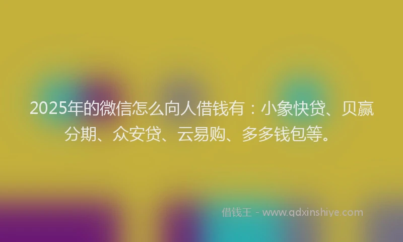 2025年的微信怎么向人借钱有：小象快贷、贝赢分期、众安贷、云易购、多多钱包等。