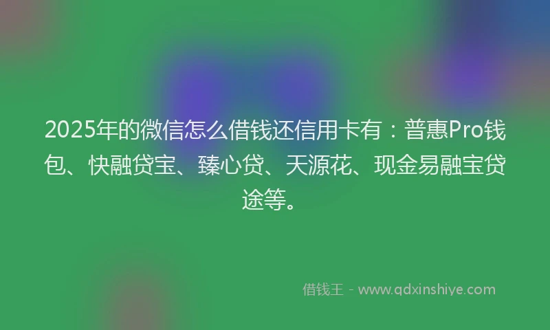 2025年的微信怎么借钱还信用卡有：普惠Pro钱包、快融贷宝、臻心贷、天源花、现金易融宝贷途等。