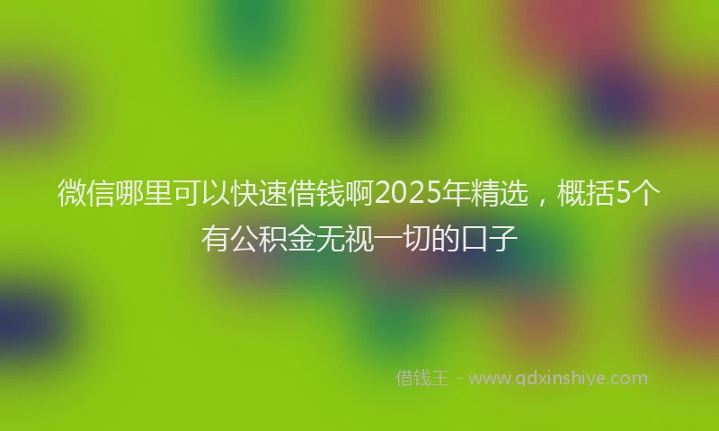 微信哪里可以快速借钱啊2025年精选，概括5个有公积金无视一切的口子