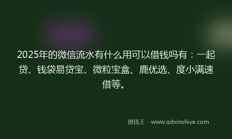 2025年的微信流水有什么用可以借钱吗有：一起贷、钱袋易贷宝、微粒宝盒、鹿优选、度小满速借等。
