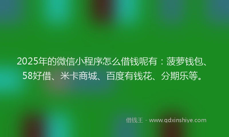 2025年的微信小程序怎么借钱呢有：菠萝钱包、58好借、米卡商城、百度有钱花、分期乐等。