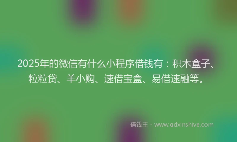 2025年的微信有什么小程序借钱有：积木盒子、粒粒贷、羊小购、速借宝盒、易借速融等。