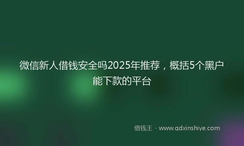 微信新人借钱安全吗2025年推荐，概括5个黑户能下款的平台
