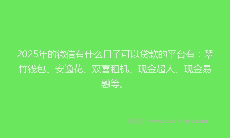 2025年的微信有什么口子可以贷款的平台有：翠竹钱包、安逸花、双喜租机、现金超人、现金易融等。