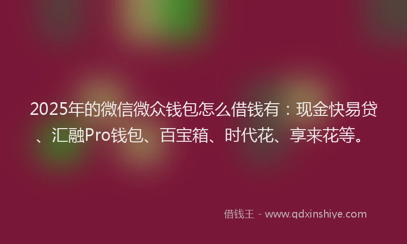 2025年的微信微众钱包怎么借钱有：现金快易贷、汇融Pro钱包、百宝箱、时代花、享来花等。