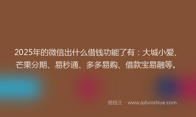 2025年的微信出什么借钱功能了有：大城小爱、芒果分期、易秒通、多多易购、借款宝易融等。