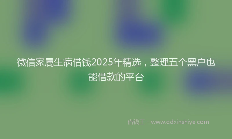 微信家属生病借钱2025年精选，整理五个黑户也能借款的平台