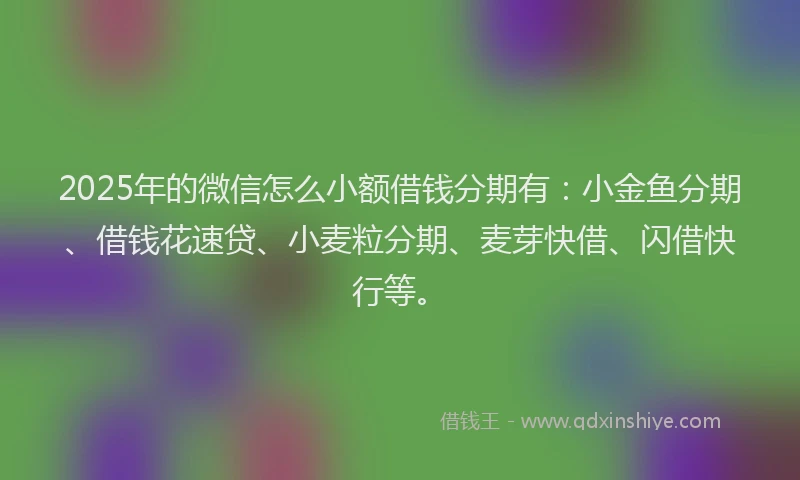 2025年的微信怎么小额借钱分期有：小金鱼分期、借钱花速贷、小麦粒分期、麦芽快借、闪借快行等。