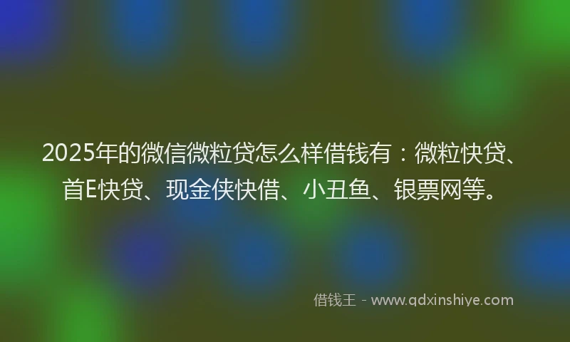 2025年的微信微粒贷怎么样借钱有：微粒快贷、首E快贷、现金侠快借、小丑鱼、银票网等。