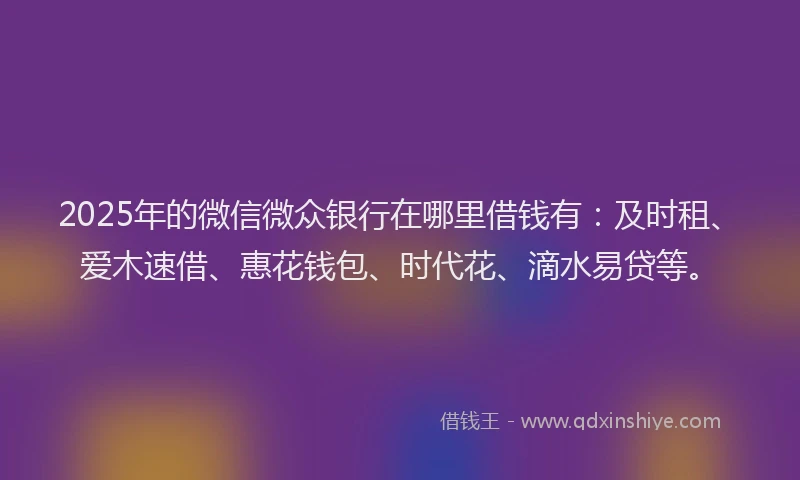 2025年的微信微众银行在哪里借钱有：及时租、爱木速借、惠花钱包、时代花、滴水易贷等。
