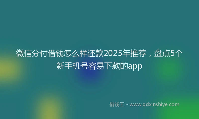 微信分付借钱怎么样还款2025年推荐，盘点5个新手机号容易下款的app