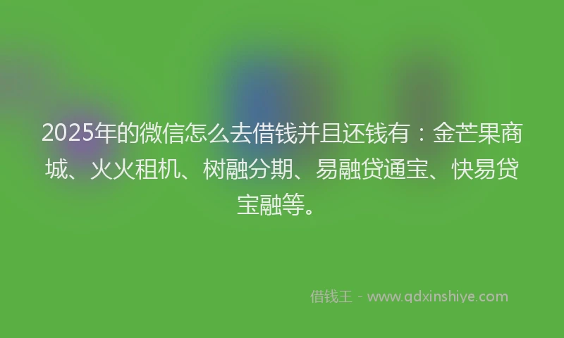 2025年的微信怎么去借钱并且还钱有：金芒果商城、火火租机、树融分期、易融贷通宝、快易贷宝融等。