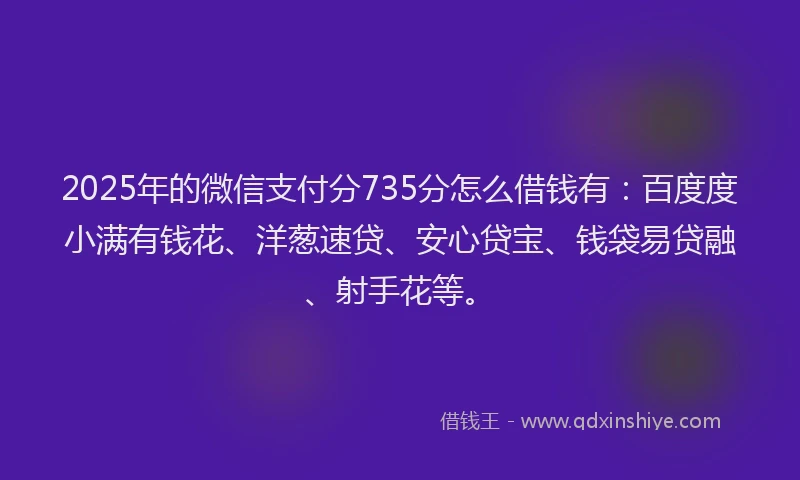 2025年的微信支付分735分怎么借钱有：百度度小满有钱花、洋葱速贷、安心贷宝、钱袋易贷融、射手花等。