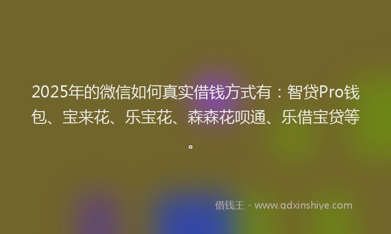 2025年的微信如何真实借钱方式有：智贷Pro钱包、宝来花、乐宝花、森森花呗通、乐借宝贷等。