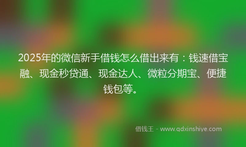 2025年的微信新手借钱怎么借出来有：钱速借宝融、现金秒贷通、现金达人、微粒分期宝、便捷钱包等。
