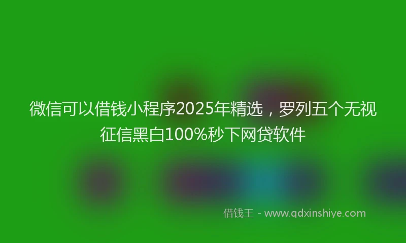微信可以借钱小程序2025年精选，罗列五个无视征信黑白100%秒下网贷软件