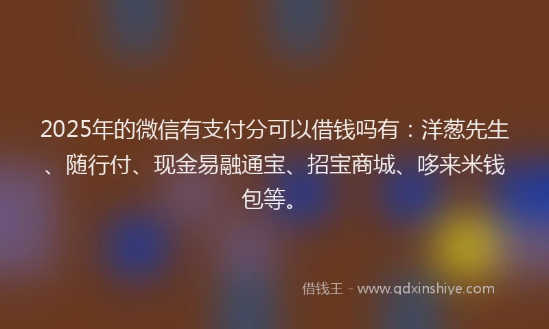 2025年的微信有支付分可以借钱吗有：洋葱先生、随行付、现金易融通宝、招宝商城、哆来米钱包等。