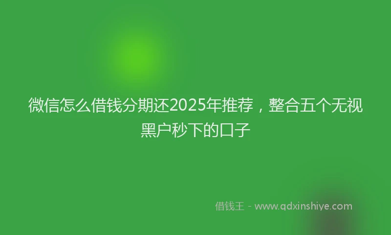 微信怎么借钱分期还2025年推荐，整合五个无视黑户秒下的口子