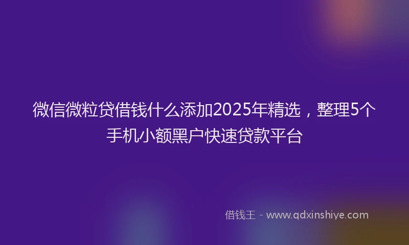 微信微粒贷借钱什么添加2025年精选，整理5个手机小额黑户快速贷款平台
