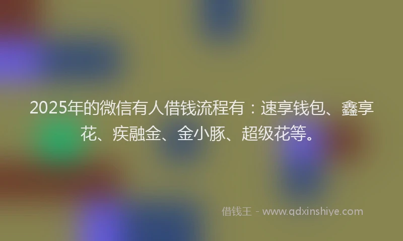 2025年的微信有人借钱流程有：速享钱包、鑫享花、疾融金、金小豚、超级花等。