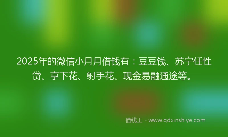 2025年的微信小月月借钱有：豆豆钱、苏宁任性贷、享下花、射手花、现金易融通途等。
